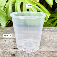 Load image into Gallery viewer, Clear Nursery Pot 12cm (1L)
