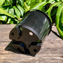 Load image into Gallery viewer, Black Nursery Pot 14cm (1.3L)