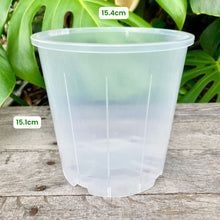 Load image into Gallery viewer, Clear Nursery Pot 15cm (2L)