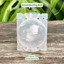 Load image into Gallery viewer, Clear Propagation Rooting Ball