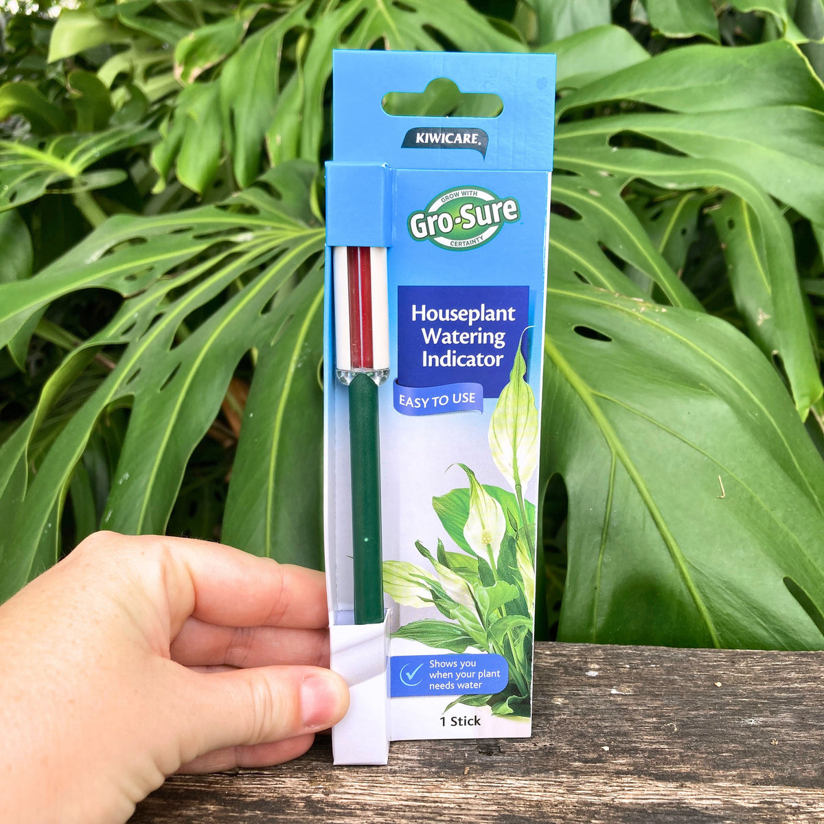 house plant water indicator Gro-Sure House Plant Watering Indicator – GrowingGreen NZ