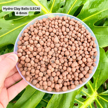 Load image into Gallery viewer, Hydro Clay Balls (LECA)