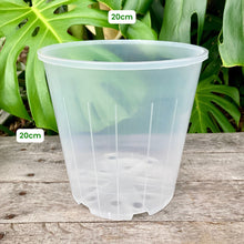 Load image into Gallery viewer, Clear Nursery Pot 20cm
