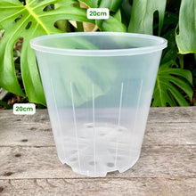 Load image into Gallery viewer, Clear Nursery Pot 20cm (4.7L)