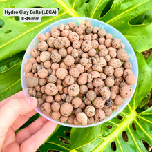 Load image into Gallery viewer, Hydro Clay Balls (LECA)