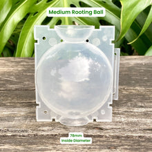 Load image into Gallery viewer, Clear Propagation Rooting Ball