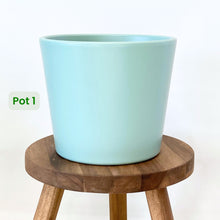 Load image into Gallery viewer, Millie Ceramic Cover Pot - 15cm SECONDS