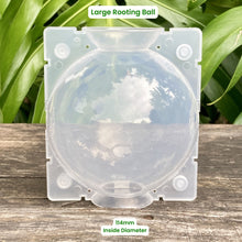 Load image into Gallery viewer, Clear Propagation Rooting Ball