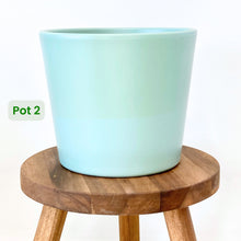 Load image into Gallery viewer, Millie Ceramic Cover Pot - 15cm SECONDS