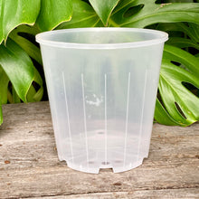 Load image into Gallery viewer, Clear Nursery Pot 20cm SECONDS