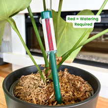 Load image into Gallery viewer, Gro-Sure Watering Indicator