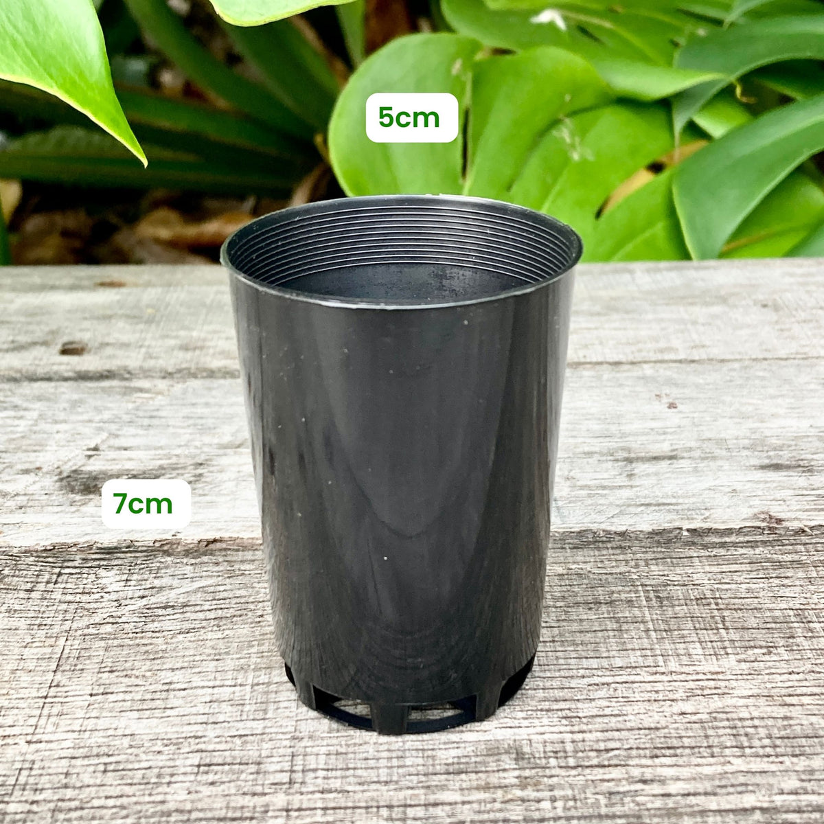 Buy Black Nursery Pot Sample Set GrowingGreen NZ