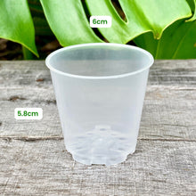 Load image into Gallery viewer, Clear Nursery Pot 6cm (110ml)
