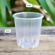 Load image into Gallery viewer, Clear Nursery Pot Sample Set