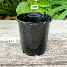 Load image into Gallery viewer, Black Nursery Pot Sample Set