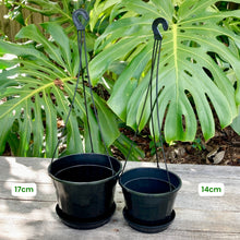 Load image into Gallery viewer, Hanging Pot Green/Black 17cm (1.5L)
