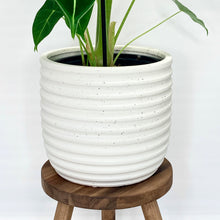Load image into Gallery viewer, Athena Ceramic Cover Pot - 18cm