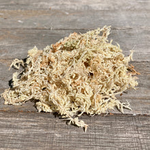 Load image into Gallery viewer, Besgrow NZ Spagmoss