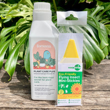 Load image into Gallery viewer, Goodbye Fungus Gnats Combo