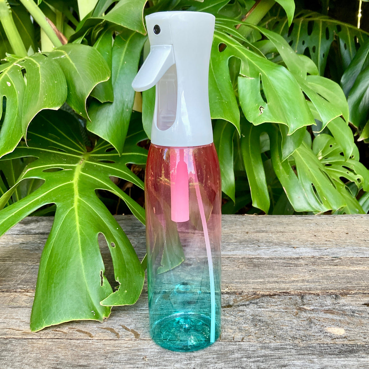 Egmont 360 Continuous Plant Mister 500ml GrowingGreen NZ