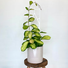 Load image into Gallery viewer, Dune Ceramic Cover Pot - 13cm