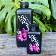 Load image into Gallery viewer, Growth Technology Orchid Focus Bloom