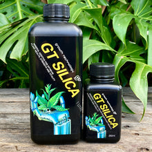 Load image into Gallery viewer, Growth Technology GT Silica