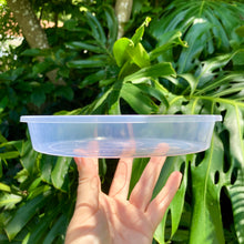 Load image into Gallery viewer, Clear Pot Saucer 200mm