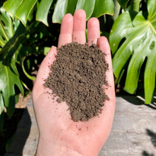 Load image into Gallery viewer, Worm Castings (Vermicast)