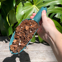 Load image into Gallery viewer, Potting Scoop