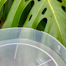 Load image into Gallery viewer, Clear Pot Saucers 175mm SECONDS