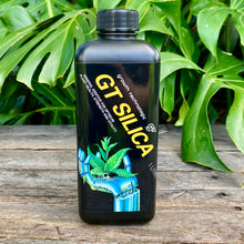 Load image into Gallery viewer, Growth Technology GT Silica