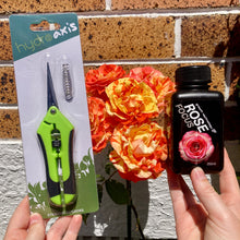Load image into Gallery viewer, Rose Lovers Combo