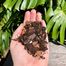 Load image into Gallery viewer, GrowingGreen House Plant Mix