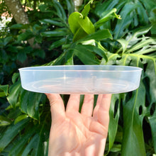 Load image into Gallery viewer, Clear Pot Saucer 175mm