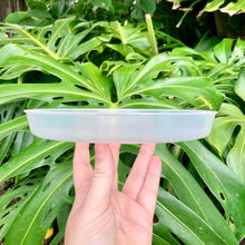 Load image into Gallery viewer, Clear Pot Saucer 200mm (NZ Made)