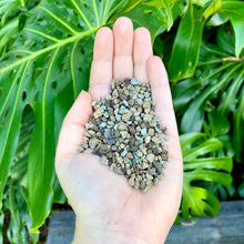 Load image into Gallery viewer, Lechuza Pon