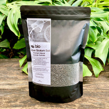 Load image into Gallery viewer, Bio Leaf Active Stratum Soil