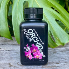 Load image into Gallery viewer, Growth Technology Orchid Focus Bloom