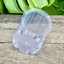 Load image into Gallery viewer, Clear Nursery Pot 7cm (170ml)