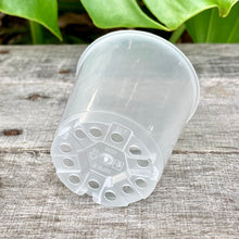 Load image into Gallery viewer, Clear Nursery Pot 6cm (110ml)