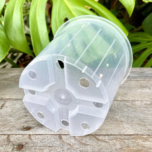 Load image into Gallery viewer, Clear Nursery Pot 14cm (1.3L)