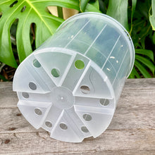 Load image into Gallery viewer, Clear Nursery Pot 20cm (4.7L)