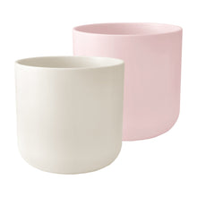 Load image into Gallery viewer, Ivy Ceramic Cover Pot - 15cm