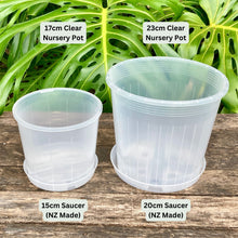 Load image into Gallery viewer, Clear Pot Saucer 200mm (NZ Made)