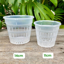 Load image into Gallery viewer, Clear Net Pot 11cm (800ml)
