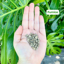 Load image into Gallery viewer, Lechuza Pon