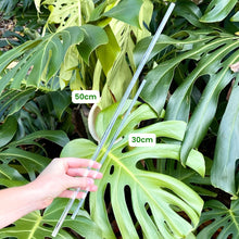 Load image into Gallery viewer, Clear Plant Support Stake