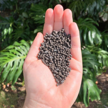 Load image into Gallery viewer, Bio Leaf Active Stratum Soil