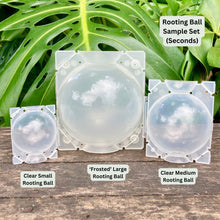 Load image into Gallery viewer, Propagation Rooting Ball Large (12cm) SECONDS (Sample Set Available)